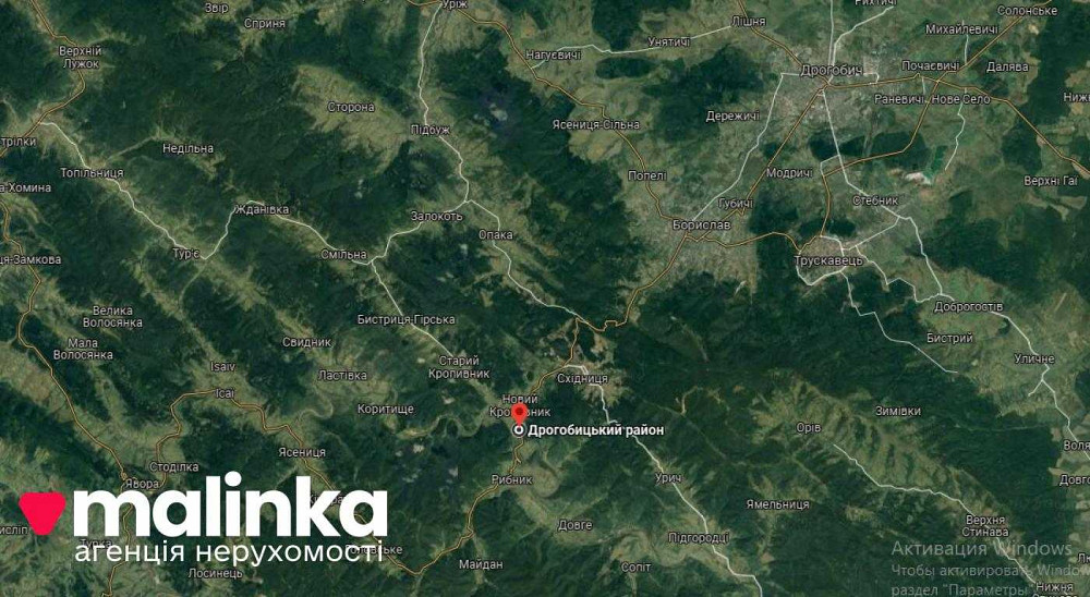 продажа земля сельскохозяйственного назначения Дрогобычский, Новый Кропивник, 100000 $  - зображення 9