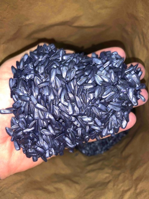 насіння соняшнику для пересіву чи пожнивних посівів Вінниця - зображення 4