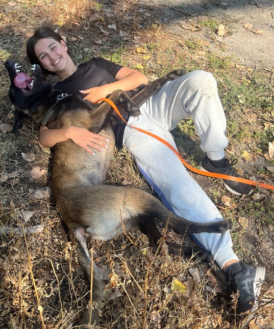дресирування собак усіх порід на спеціально обладнаному майданчику Запоріжжя - зображення 1