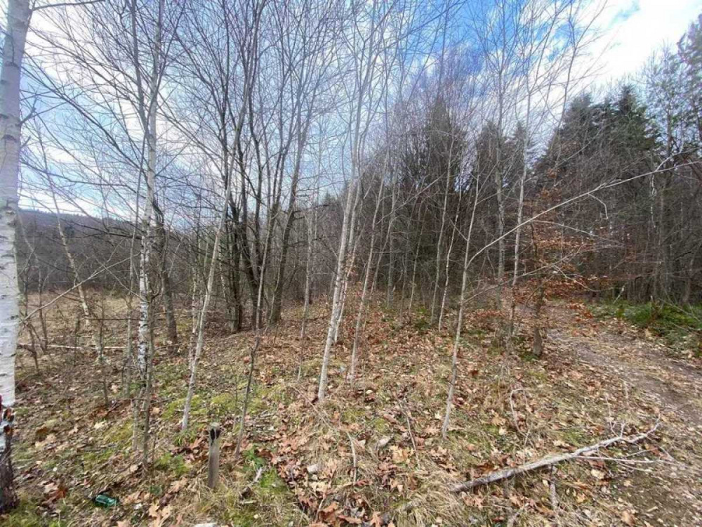 продажа участок под жилую застройку Борислав, 32000 $ Борислав - изображение 4