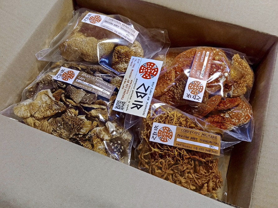 Мухомор ПАНТЕРНИЙ (Amanita Pantherina), сушені КАПЕЛЮШКИ від ZBIR, сезон 2025 Полтава - изображение 7