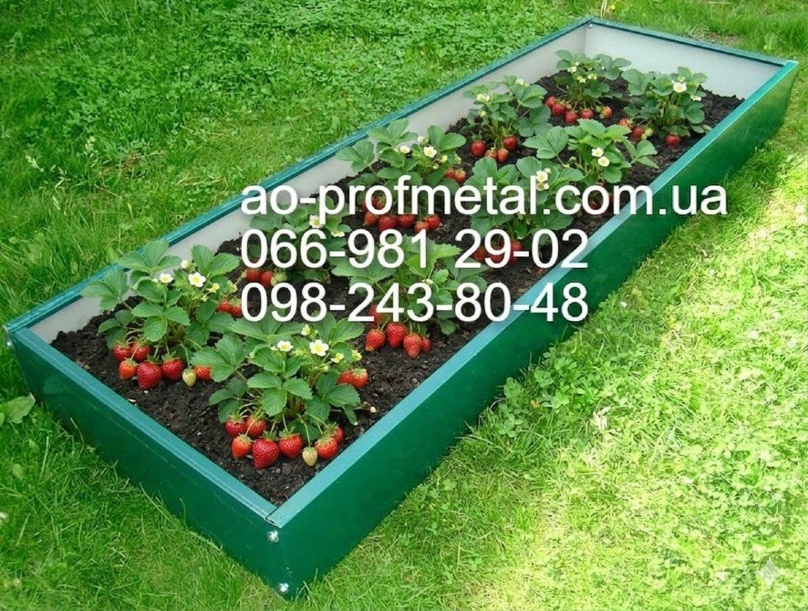 Грядки металеві, Високі грядки оцинковані. Київ - зображення 4