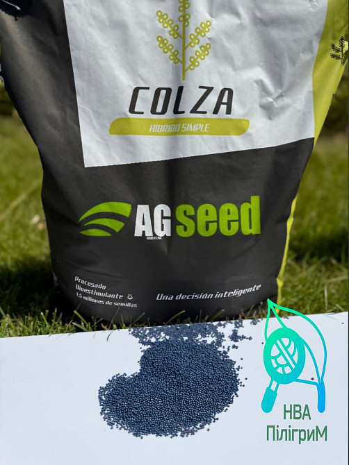 насіння ріпаку озимого під різні технології Вінниця - зображення 2