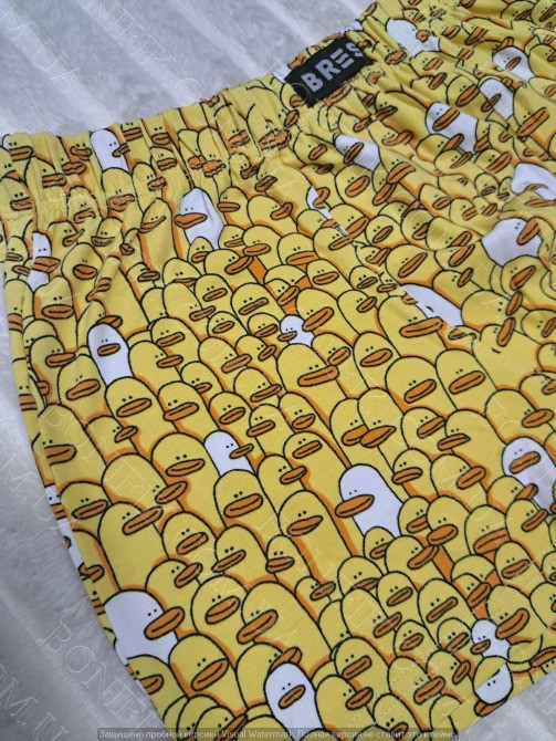Мужские боксеры BRES с принтом «Уточки» (арт. MSHK 304/03/133) Кривий Ріг - зображення 4
