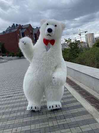 Білий ведмідь Кам’янське замовити мішку аніматора на день народження. Кам'янське (Дніпродзержинськ)