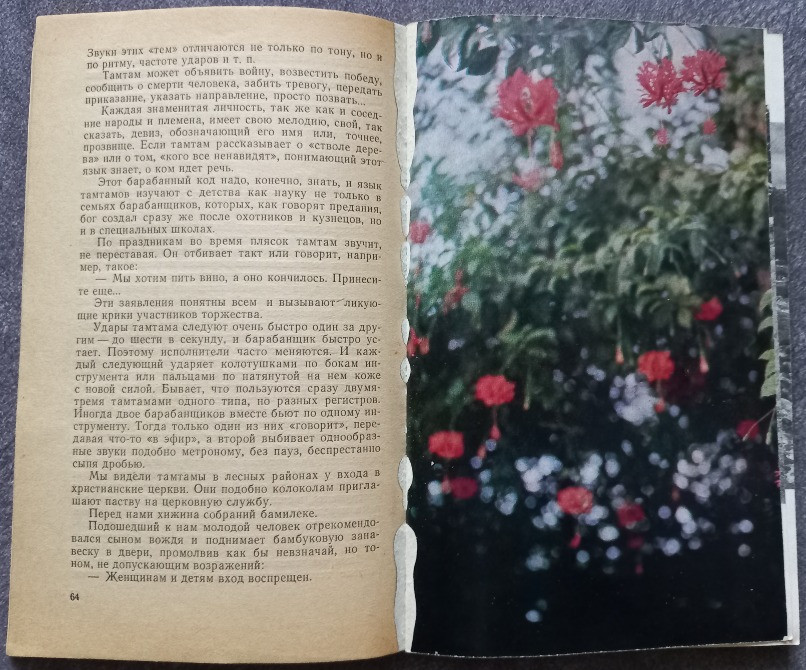 Путешествие по Камеруну. Ю.Н. Казеев Харків - зображення 4