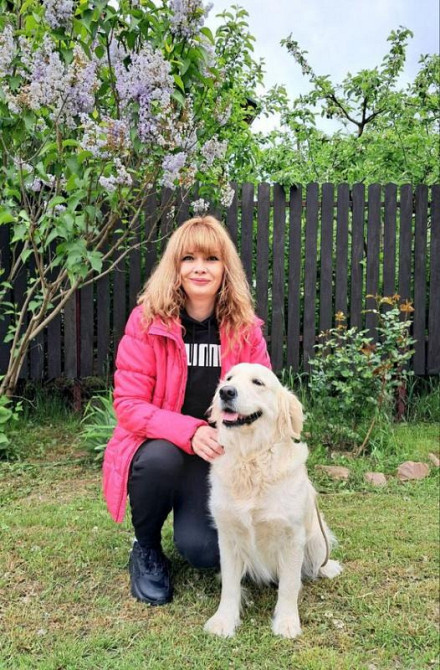 Цуценята золотистого ретрівера Ot Bahur Київ - зображення 7