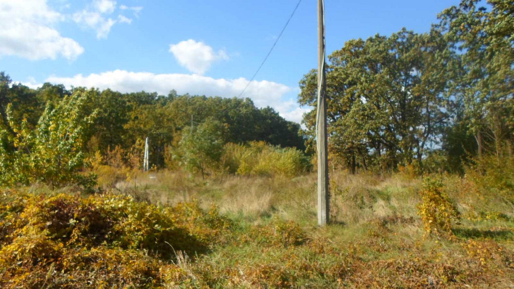 продажа земля коммерческого назначения Васильковский, Иванковичи, 110000 $  - зображення 8