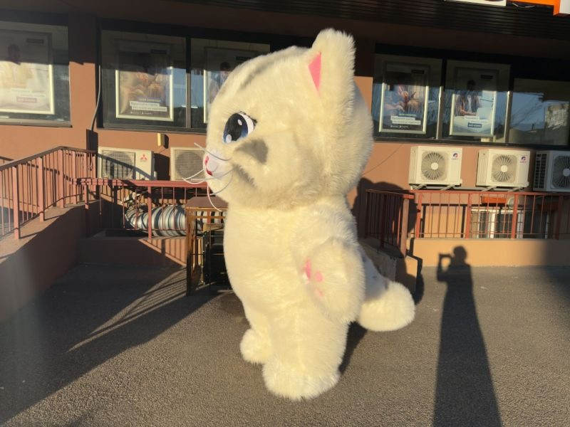 Надувной костюм аниматору кот 4 часа работы 2.4 м 60 Вт Киев - изображение 5