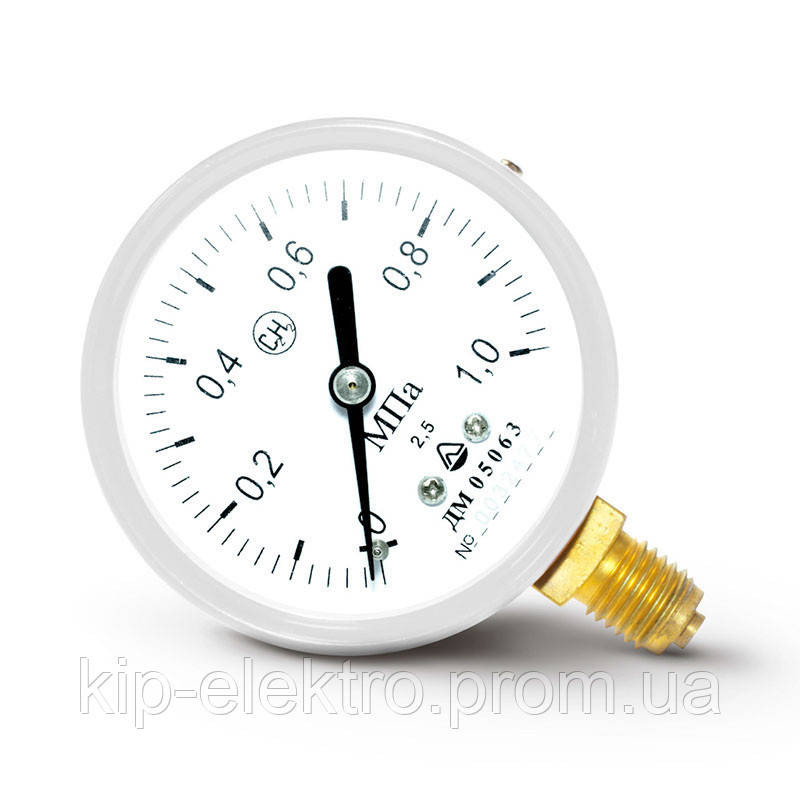 Манометр ацетиленовый ДМ 05063 (С2Н2) (ДМ05063, ДМ-05063, ДМ 05-01, ДМ) Київ - зображення 2