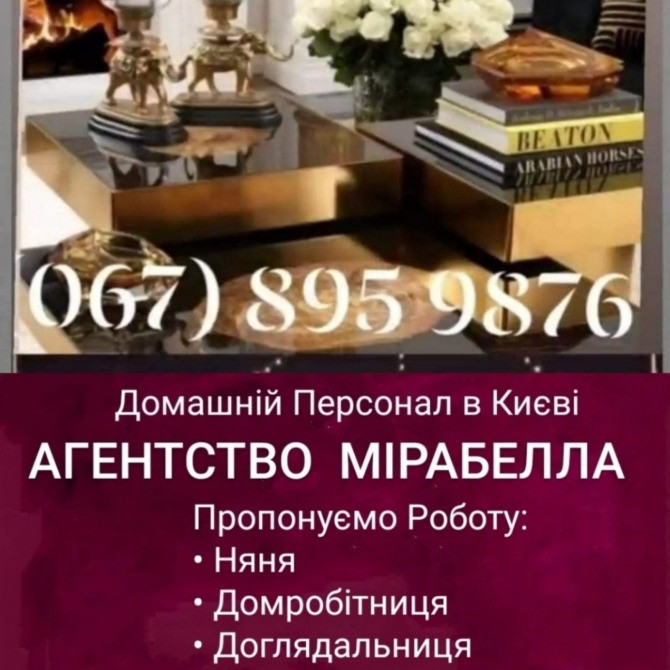 Няня в Швейцарію Київ - зображення 1