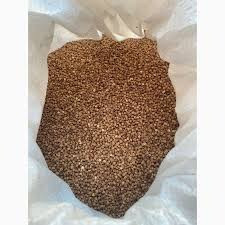 Високоякісне зерно гречки Житомир - зображення 1