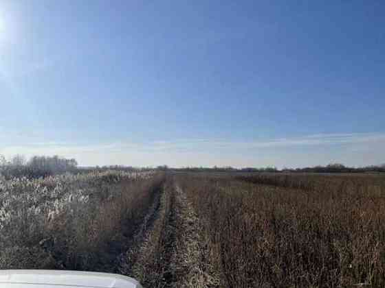 продажа земля сельскохозяйственного назначения Броварский, Пуховка, 295612 грн. 