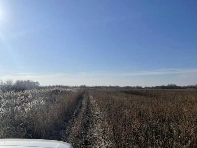 продажа земля сельскохозяйственного назначения Броварский, Пуховка, 295612 грн.  - зображення 3