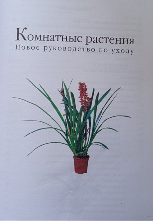 Книга комнатные растения. Новое руководство по уходу. Воронцов В. В. Київ - зображення 2