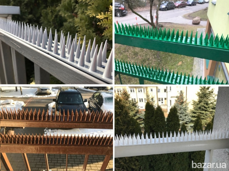 Шипы Jacopic от птиц и животных зеленые 50х3 см Одеса - зображення 2