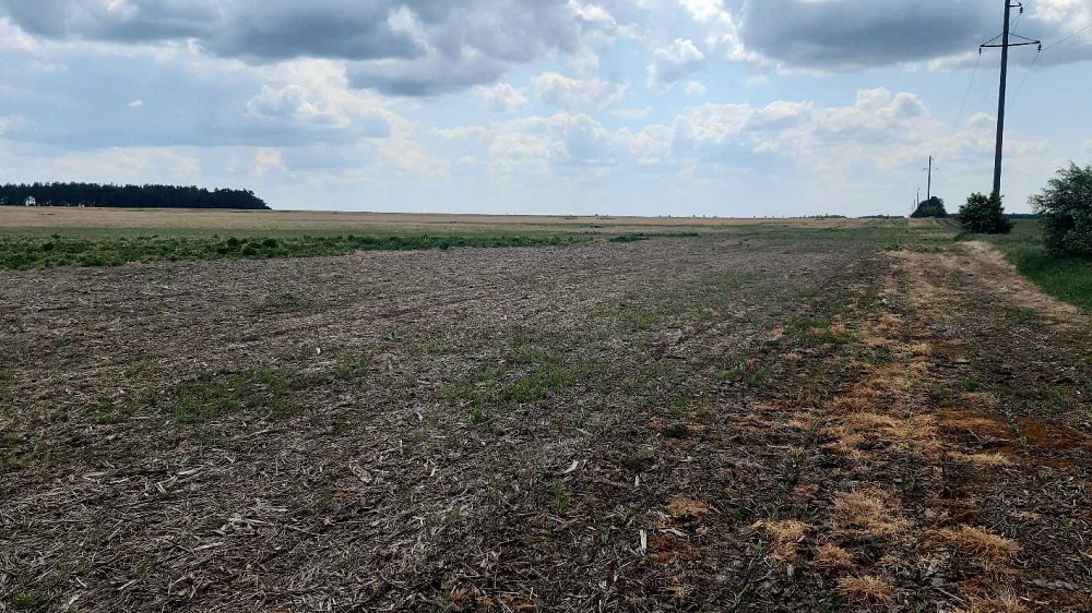 продажа земля сельскохозяйственного назначения Бориспольский, Головуров, 223570 грн.  - изображение 4