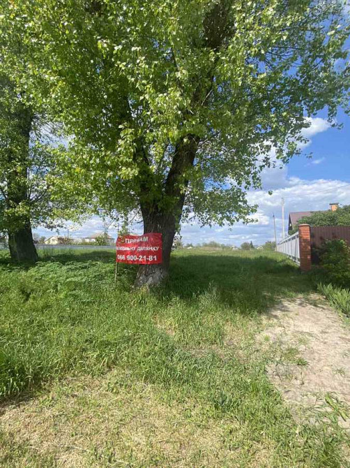 продажа участок под жилую застройку Бориспольский, Иванков, 15000 $ Іванків - зображення 5