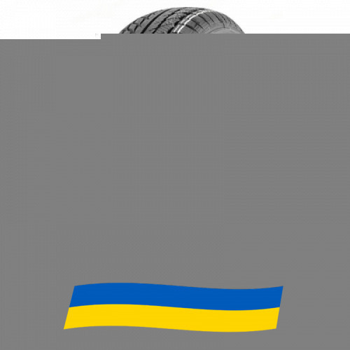215/55 R17 WestLake SW608 Snowmaster 98V Легкова шина Київ - зображення 1