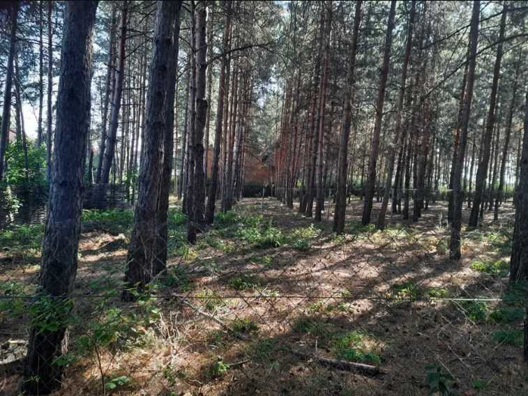 продажа земля сельскохозяйственного назначения Бориспольский, Вороньков, 2147559 грн.  - изображение 1