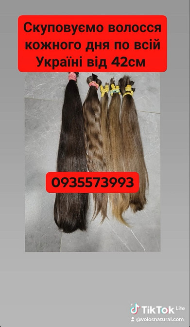 Купуємо волосся в Києві та по всій Україні від 42см -0935573993 Київ - зображення 1