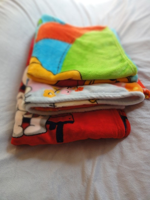 Ковдрочка-плед дитячий Київ - зображення 1