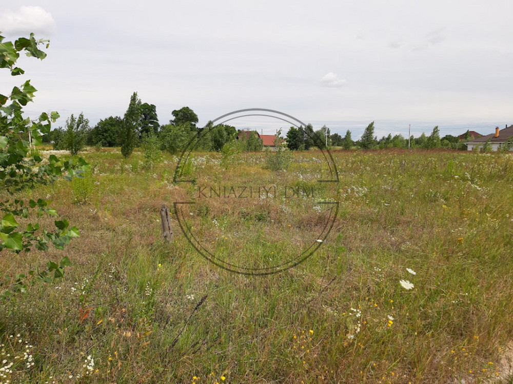 Продажа земельного участка 20 соток в Займыще. № 264735 Киев - изображение 4