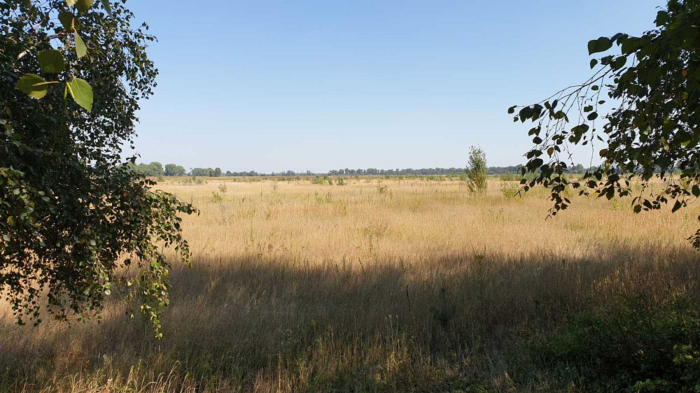 продажа участок под жилую застройку Бориспольский, Петропавловское, 18673000 грн.  - изображение 4