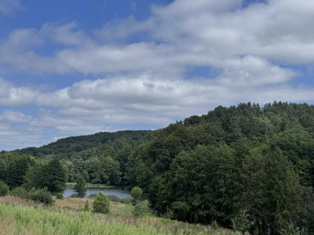 продажа земля сельскохозяйственного назначения Яворовский, Яворов, 13500 $ Яворів - зображення 5