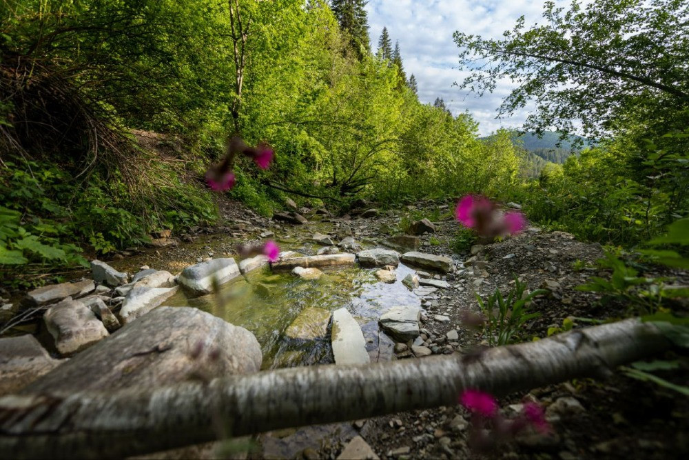 Земельна ділянка в Микуличині 1.40 га Яремче - зображення 2