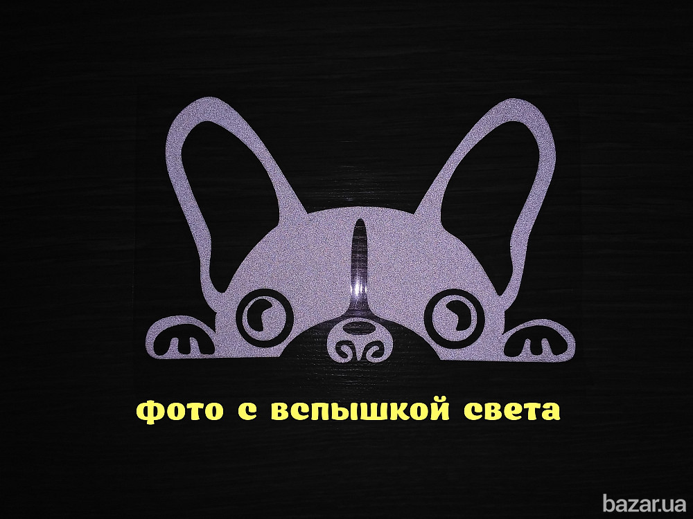 Наклейка на авто Собака Белая светоотражающая Бориспіль - зображення 2