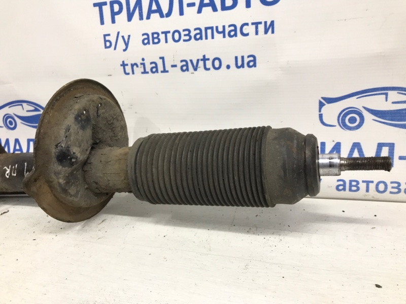 Амортизатор передний правый Suzuki SX4 2006-2014 41601-79J01 (Арт. 43033) Киев - изображение 2