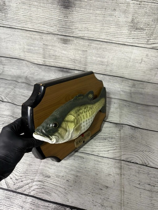 Та сама легендарна співаюча риба з «Сопрано» Київ - зображення 3