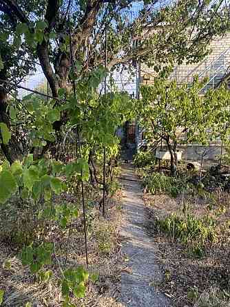 Продам дачу 6 сот, 5 кімнат, Христиновка (Хоминка) Одеська область Одеса