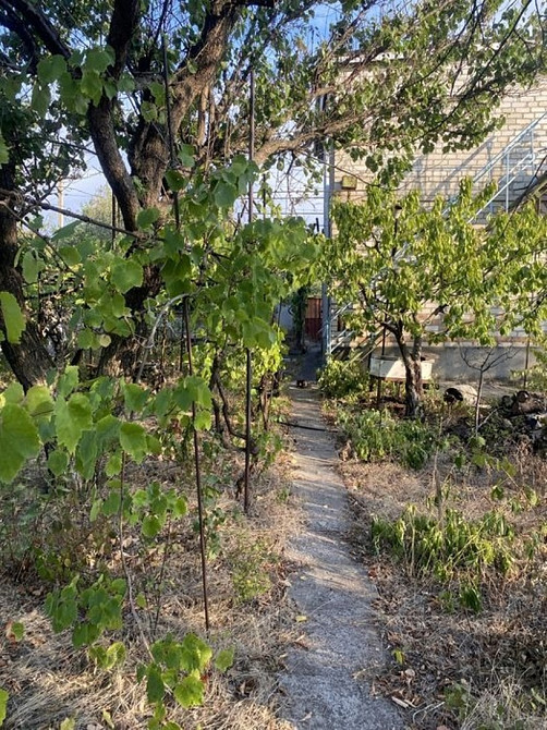 Продам дачу 6 сот, 5 кімнат, Христиновка (Хоминка) Одеська область Одеса - зображення 4