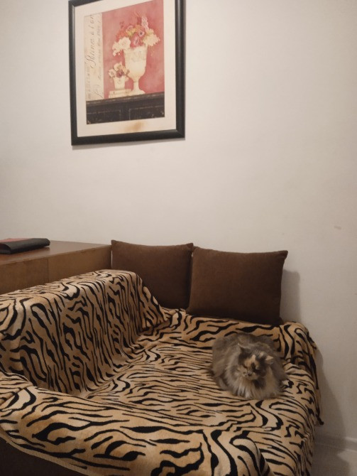 м.Сырец 10мин.Сдам квартиру. Київ - зображення 5