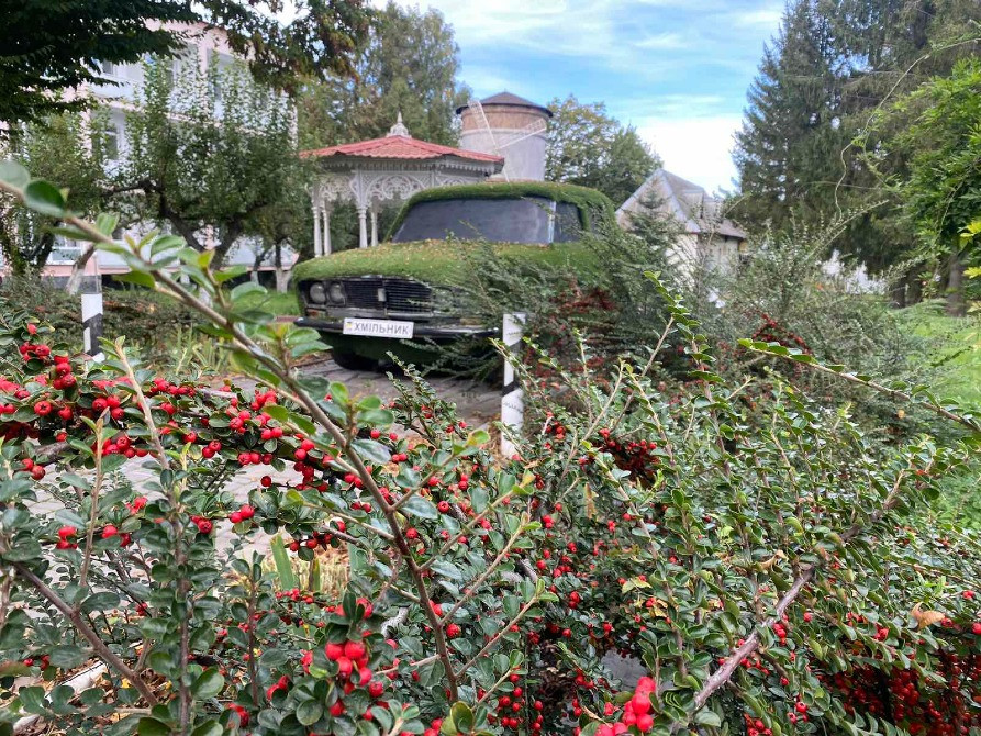Лікування ревматоїдного артриту Хмельник - изображение 2