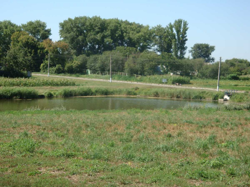 продажа 3-к дом Новоархангельский, Торговица, 5000 $  - зображення 2