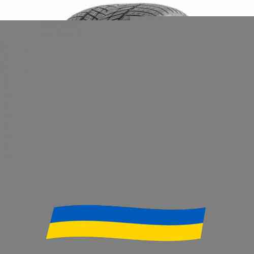 275/50 R21 Roadmarch Winter Xpro 999 113H Позашляхова шина Київ