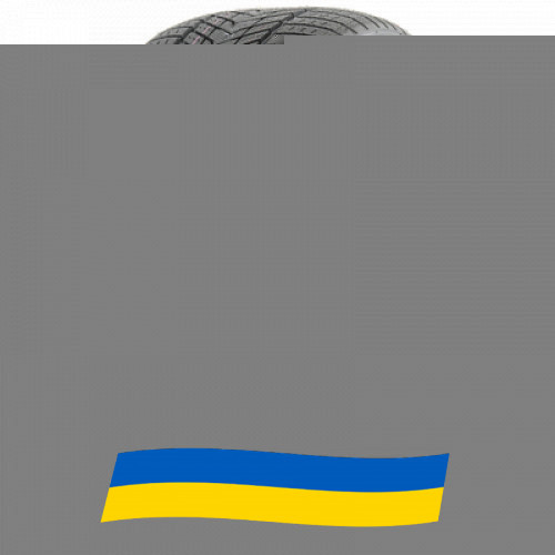 275/50 R21 Roadmarch Winter Xpro 999 113H Позашляхова шина Київ - зображення 1