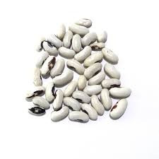 Продаємо насіння квасолі різних сортів оптом Чернігів - зображення 1