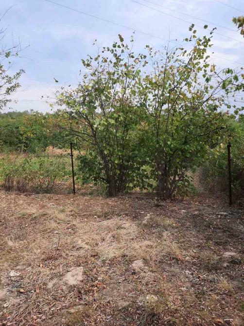 продажа участок под жилую застройку Ужгород, 13500 $ Ужгород - зображення 10