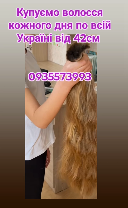 Купуємо волосся кожного дня по всій Україні від 42см -0935573993 Дніпро - зображення 1