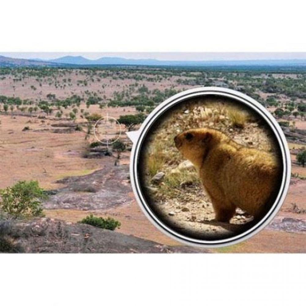 Монокуляр с треногой и клипсой Panda Vision 40×60 Київ - зображення 6