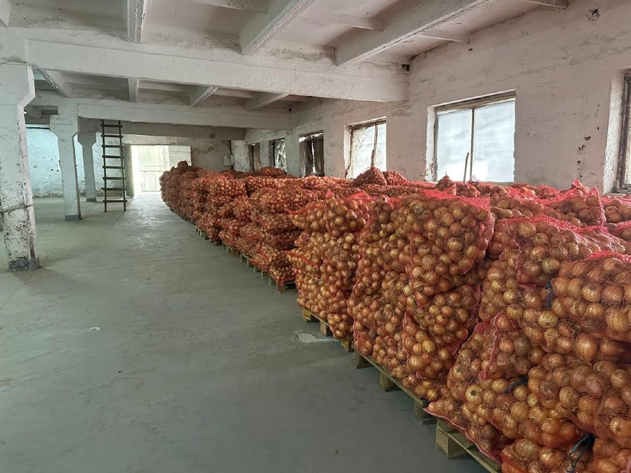 Продам цибулю "Центуріон" Житомир - зображення 3