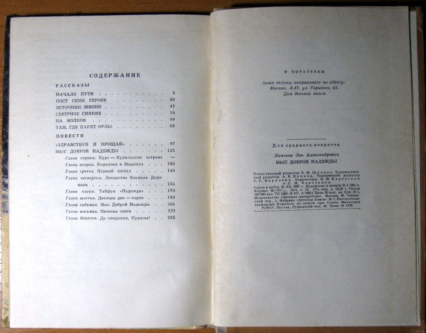 Мыс доброй надежды. Лев Линьков Богодухов - изображение 3