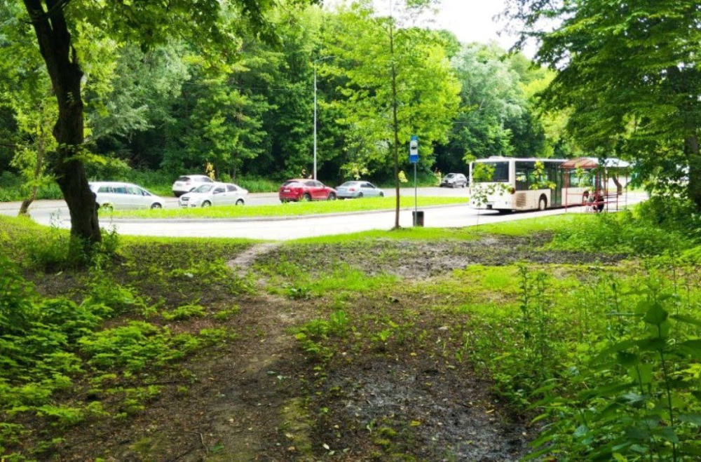 Мальовнича ділянка в центрі міста,10 соток, Голосіївський р-н Київ - зображення 1