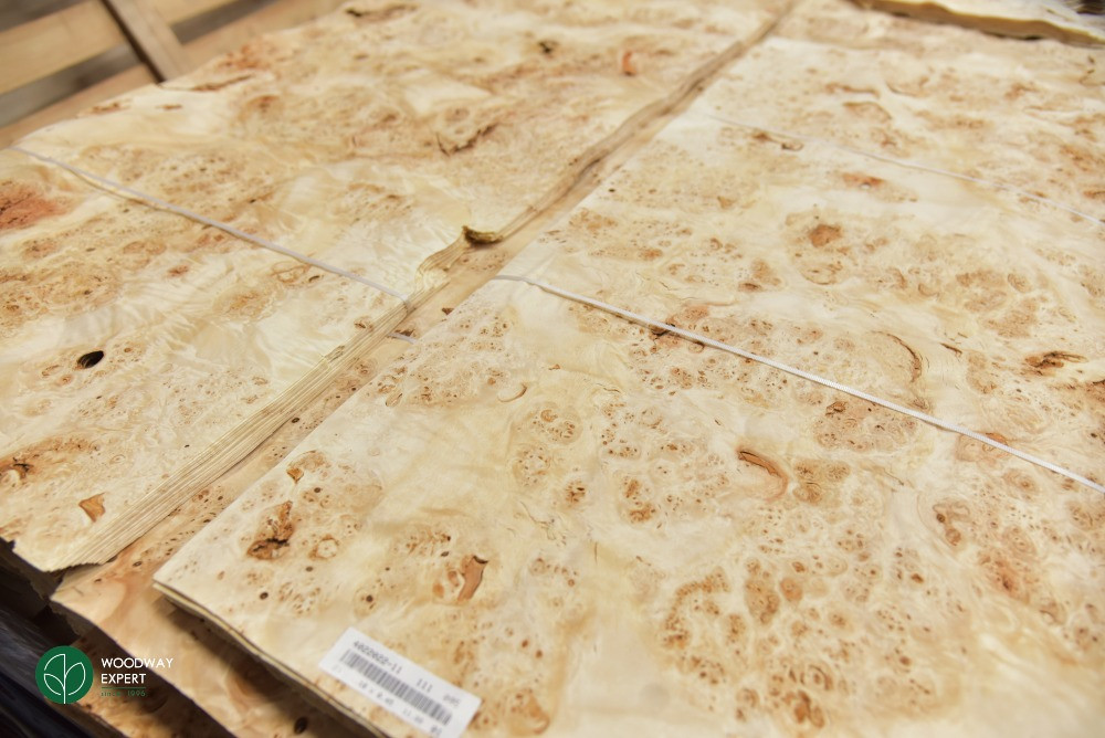 Шпон ТОПОЛЬ очковий товщина: 0,7 мм / Кап (*карельська береза) Киев - изображение 5