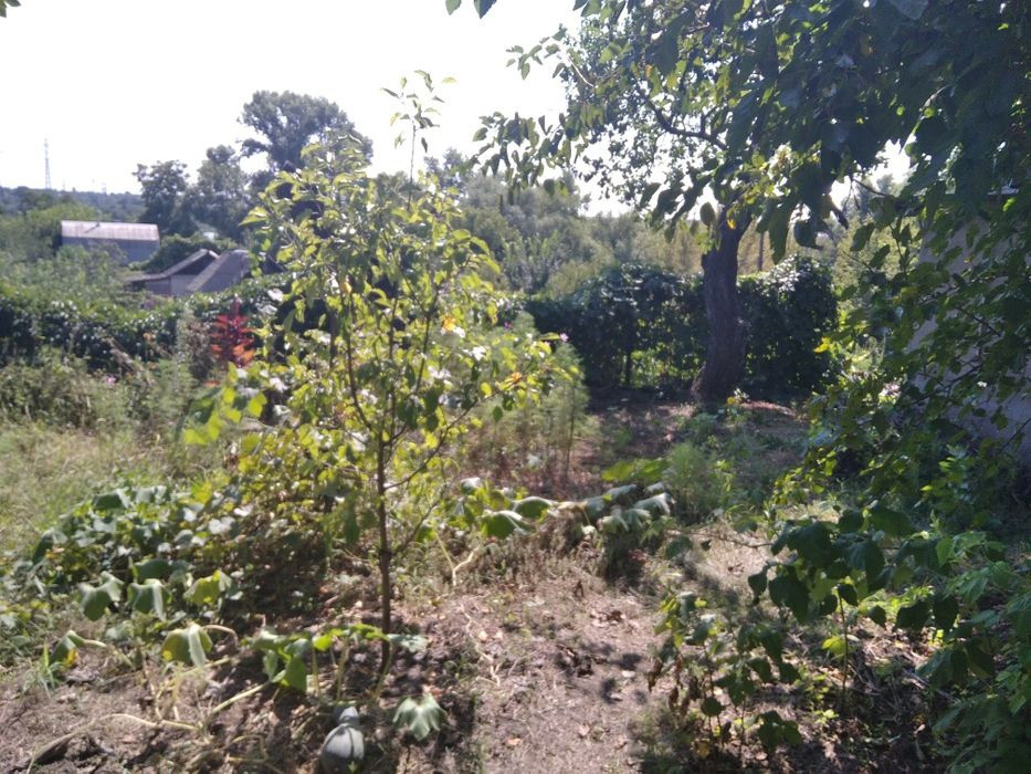 Продам. Дачу 20 м.кв. 6,7 сот. Шевченка. вул. Кадрова 2-Д. ДО "Самара" Днепр - изображение 7