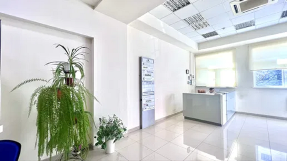 Бульваро-Кудрявська вул 33, офіс 35м Київ